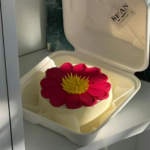 order best cakes in bangalore